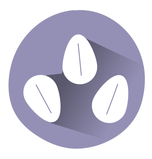 Granos o semillas de sésamo y productos a base de sésamo